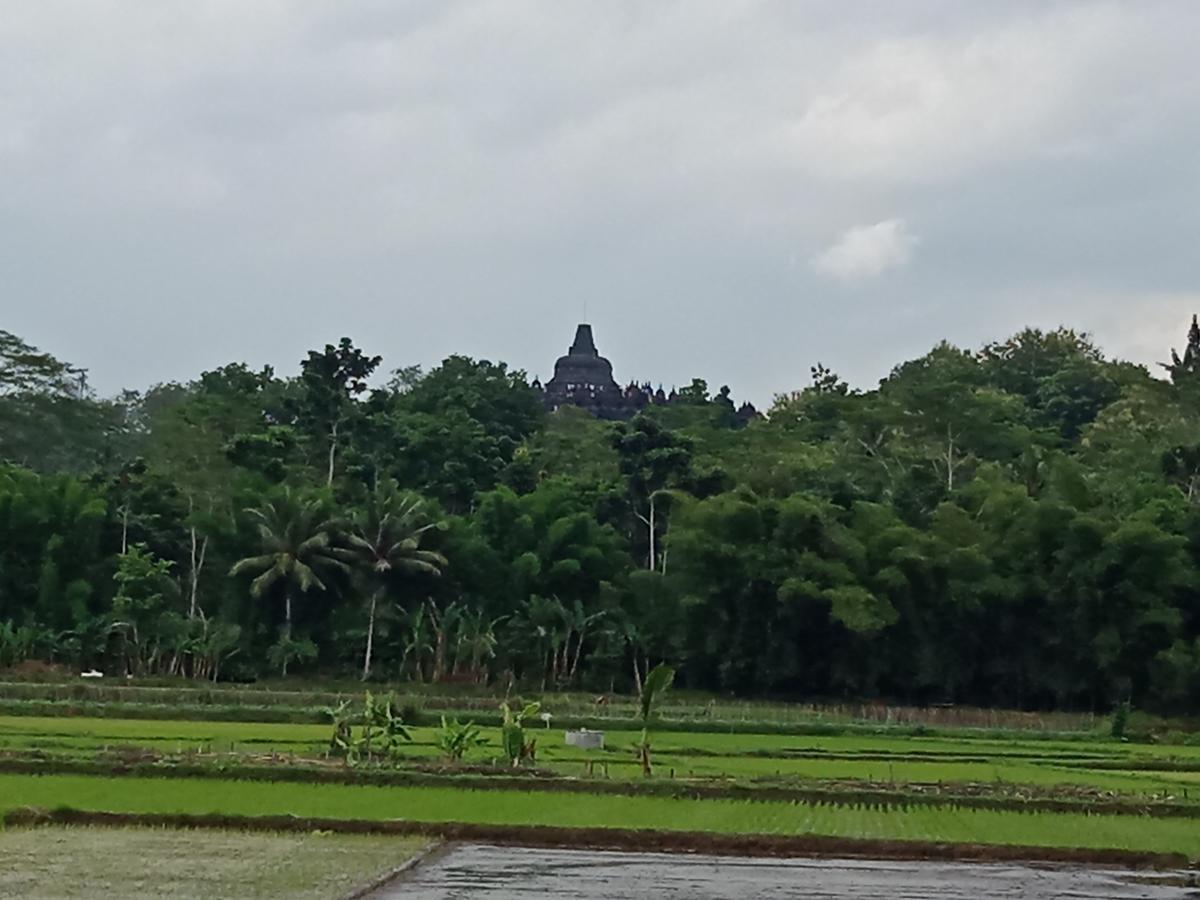 Penginapan & Guest House Mbok Dhe Borobudur Magelang Exterior photo